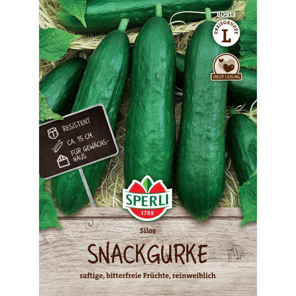 Seminte castraveti salata Silor