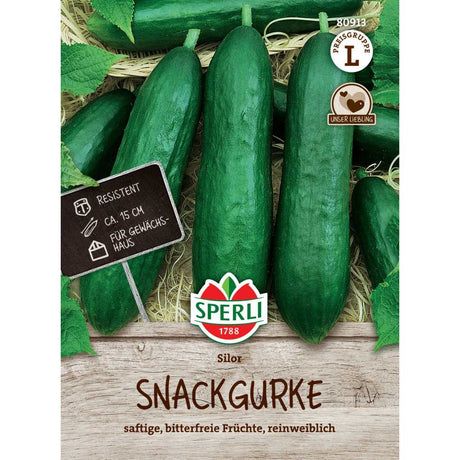 Seminte castraveti salata Silor