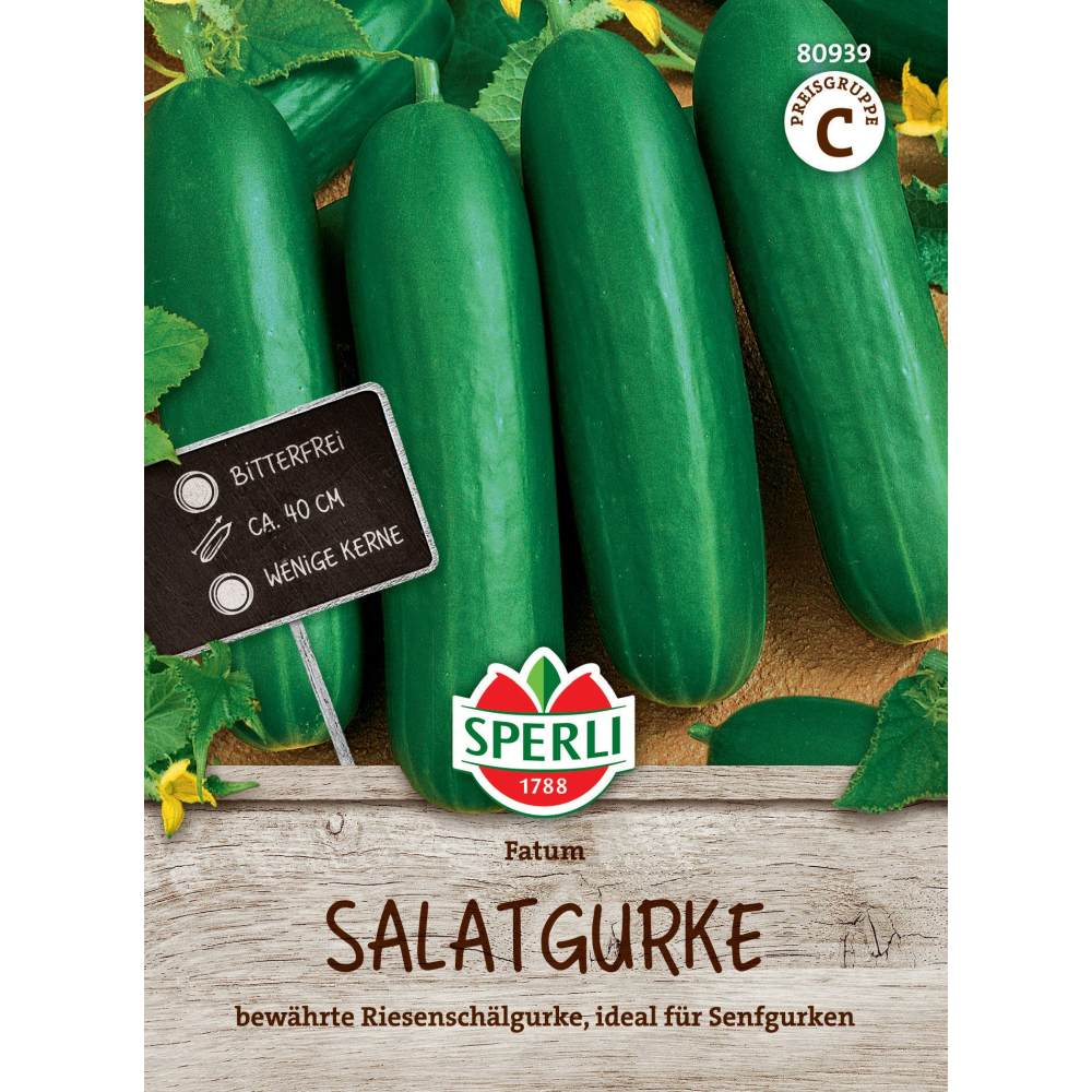 Seminte castraveti salata Fatum