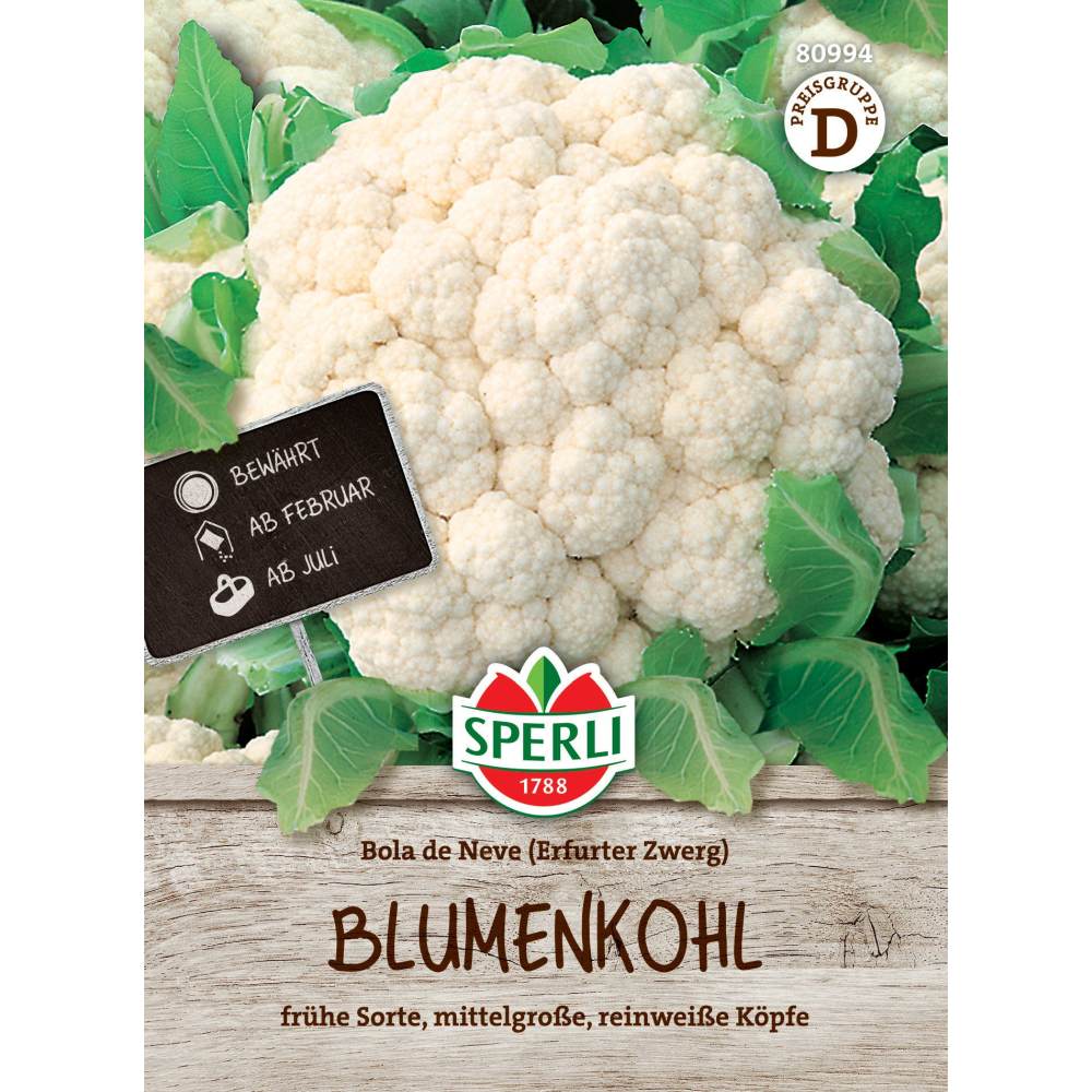 Seminte conopida Bola de Neve