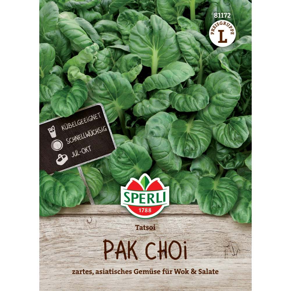 Seminte Pak Choi Tatsoi