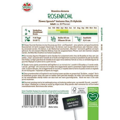 Seminte varza de Bruxelles Autumn Star