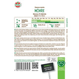 Seminte morcovi Marion