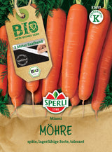 Seminte BIO morcovi