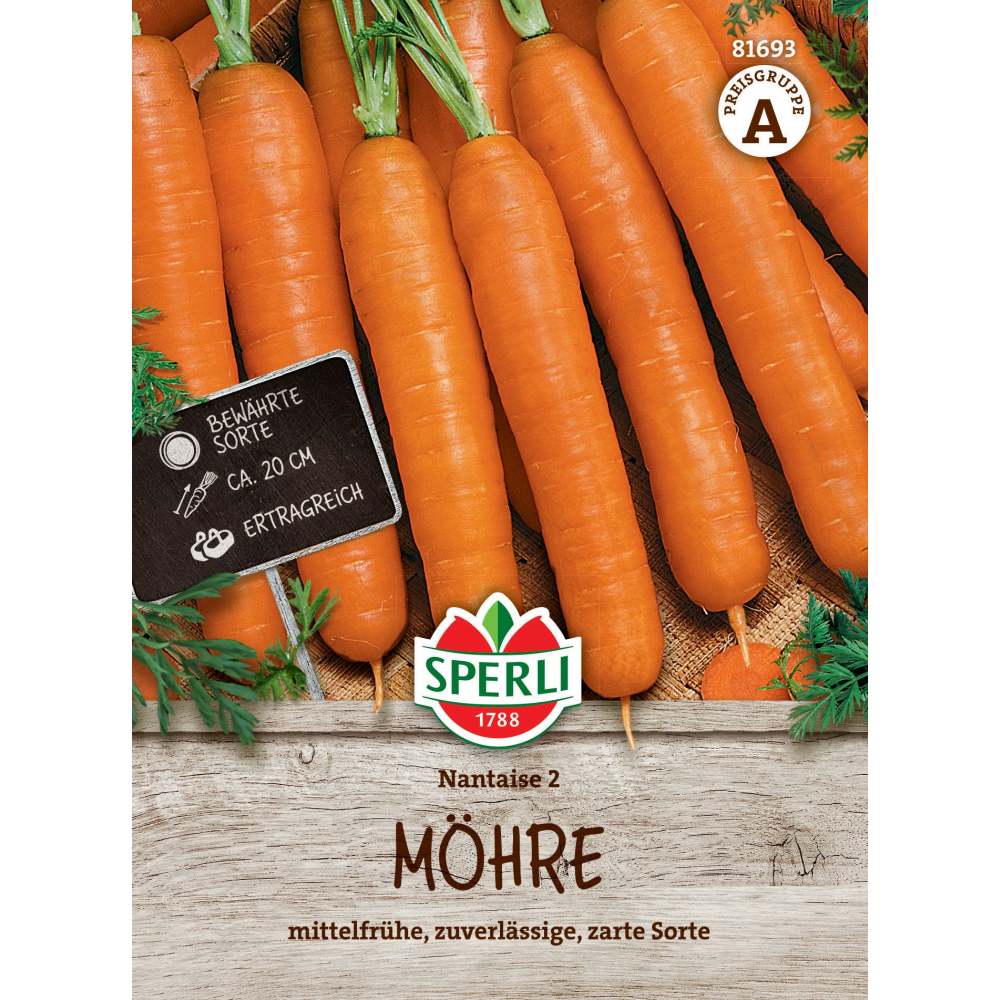 Seminte morcovi Nantaise 2