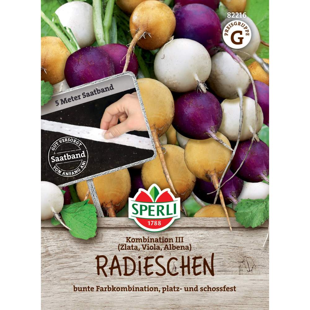 Seminte ridiche combinatie III cu banda