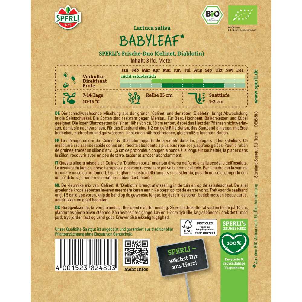 Seminte BIO salata Babyleaf