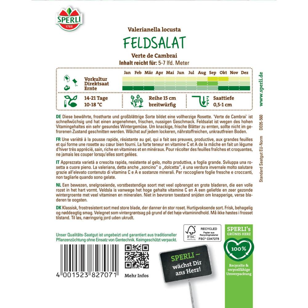 Seminte salata de camp Verte de Cambrai