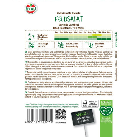 Seminte salata de camp Verte de Cambrai