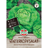 Seminte salata capatana iarna Nansen Noordpool