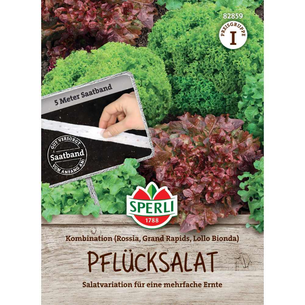 Seminte salata taiata mix