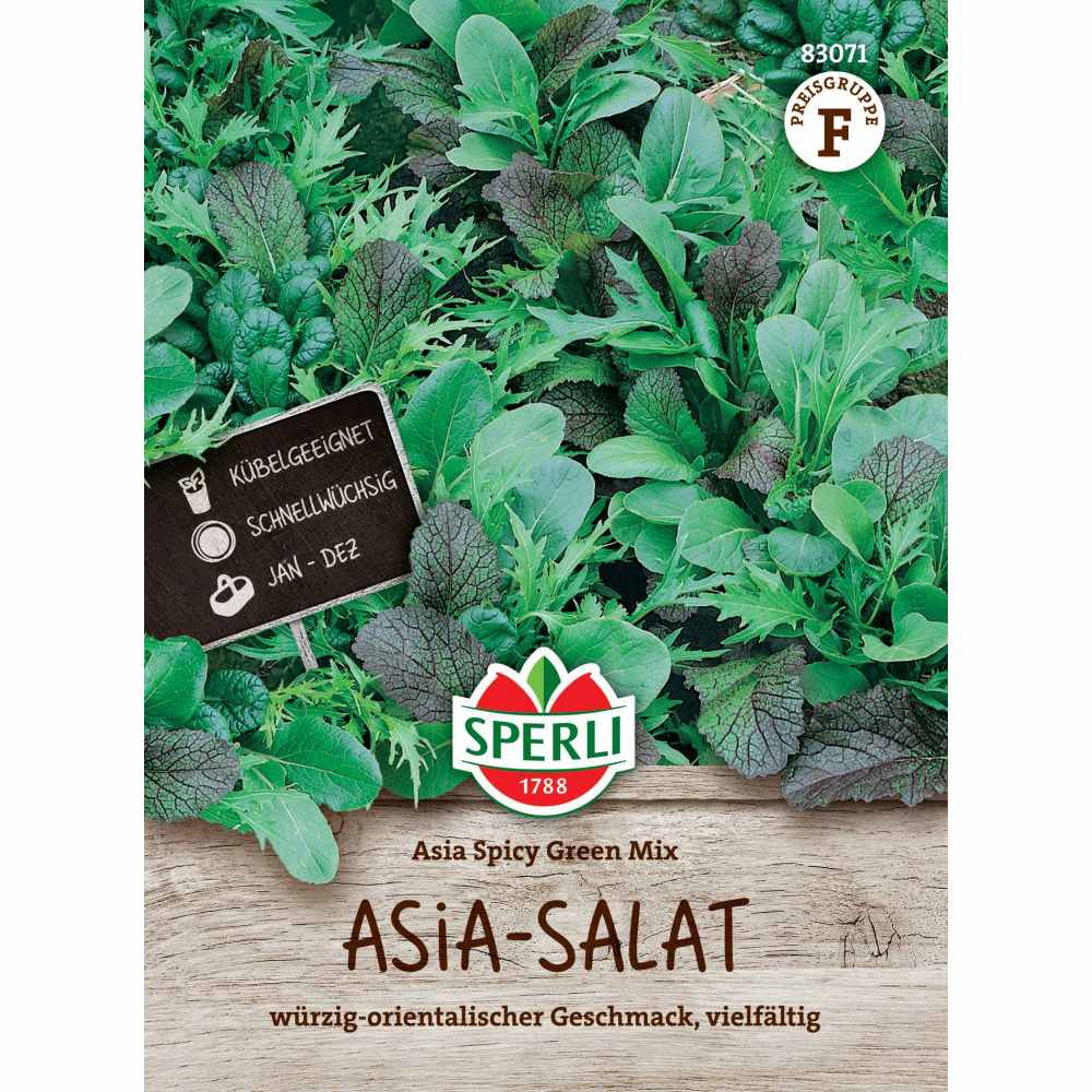 Seminte salata asiatica