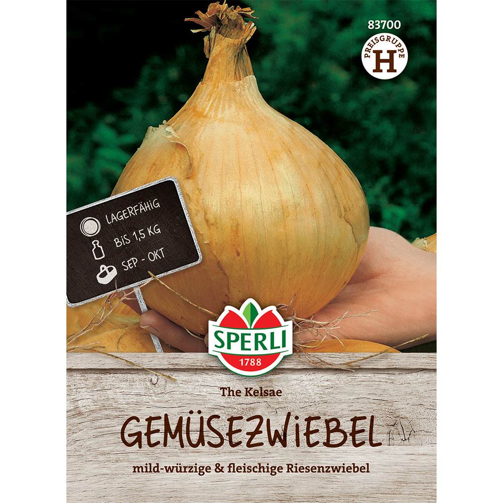 Seminte de ceapa Kelsae – bulbi uriasi, gust dulce, ajunge pentru 4-5 Metri Liniari