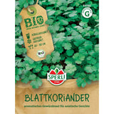 Seminte BIO coriandru