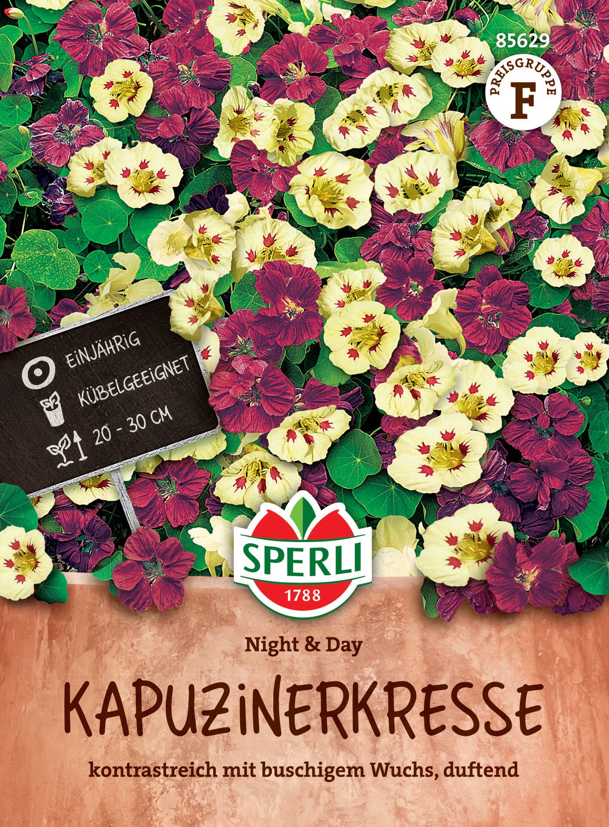 Seminte condurul doamnei Night Day sperli