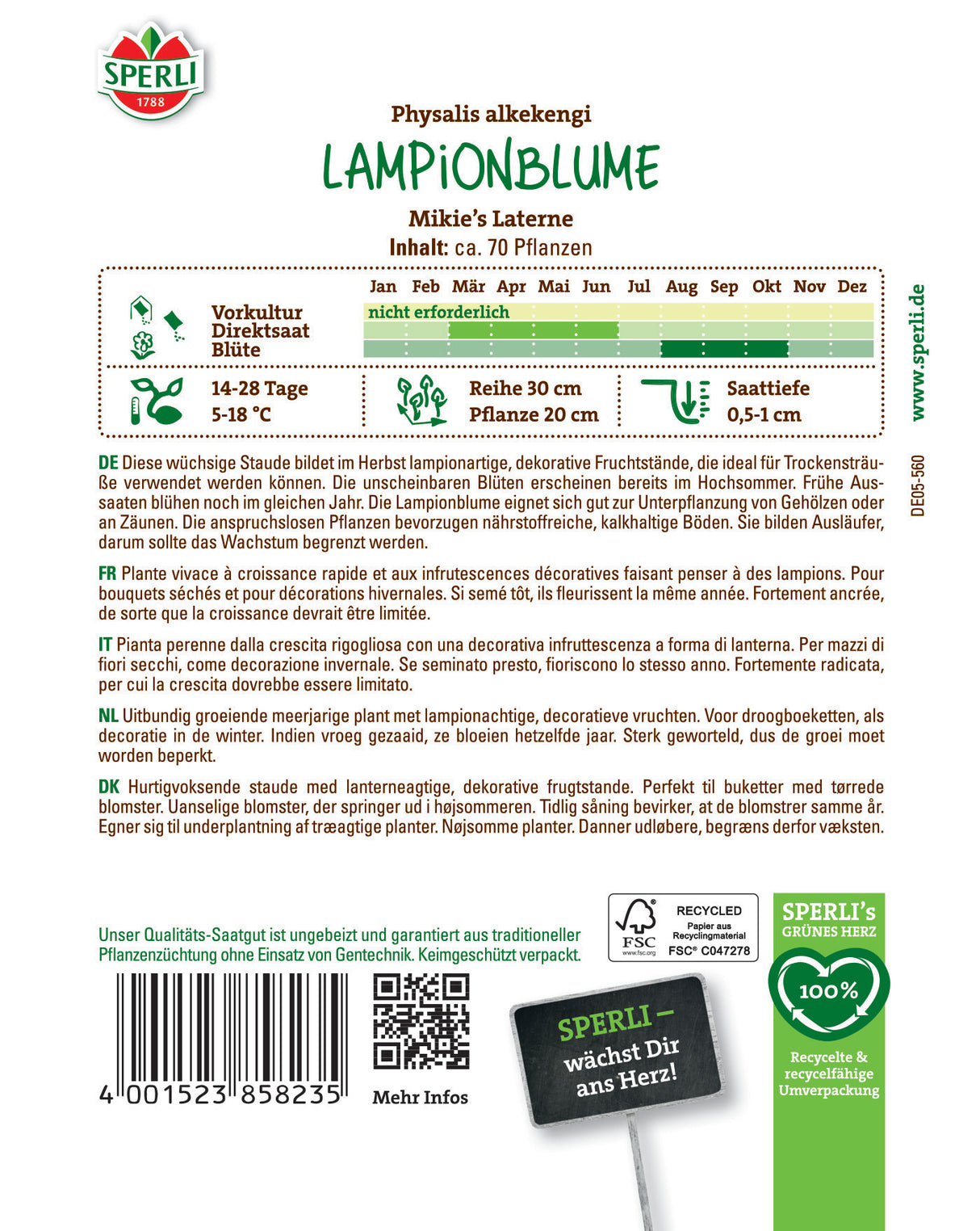 Seminte floare lampion Mikie's Laterne