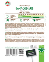 Seminte floare lampion Mikie's Laterne