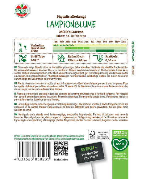 Seminte floare lampion Mikie's Laterne