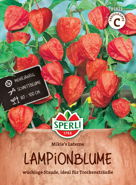 Seminte floare lampion Mikie's Laterne