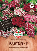 Seminte garofite mix simple