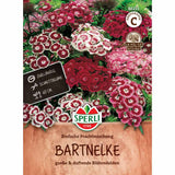 Seminte garofite mix simple