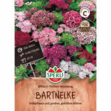Seminte garofite SPERLI Vollbart