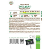 Seminte galbenele salbatice