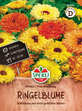 Seminte galbenele SPERLI Viva