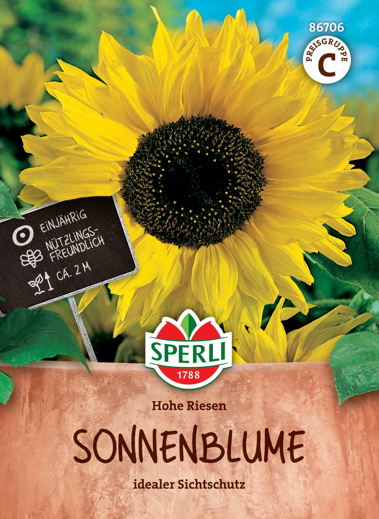 Seminte floarea soarelui Hohe Riesen