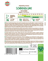 Seminte floarea soarelui Henry Wilde