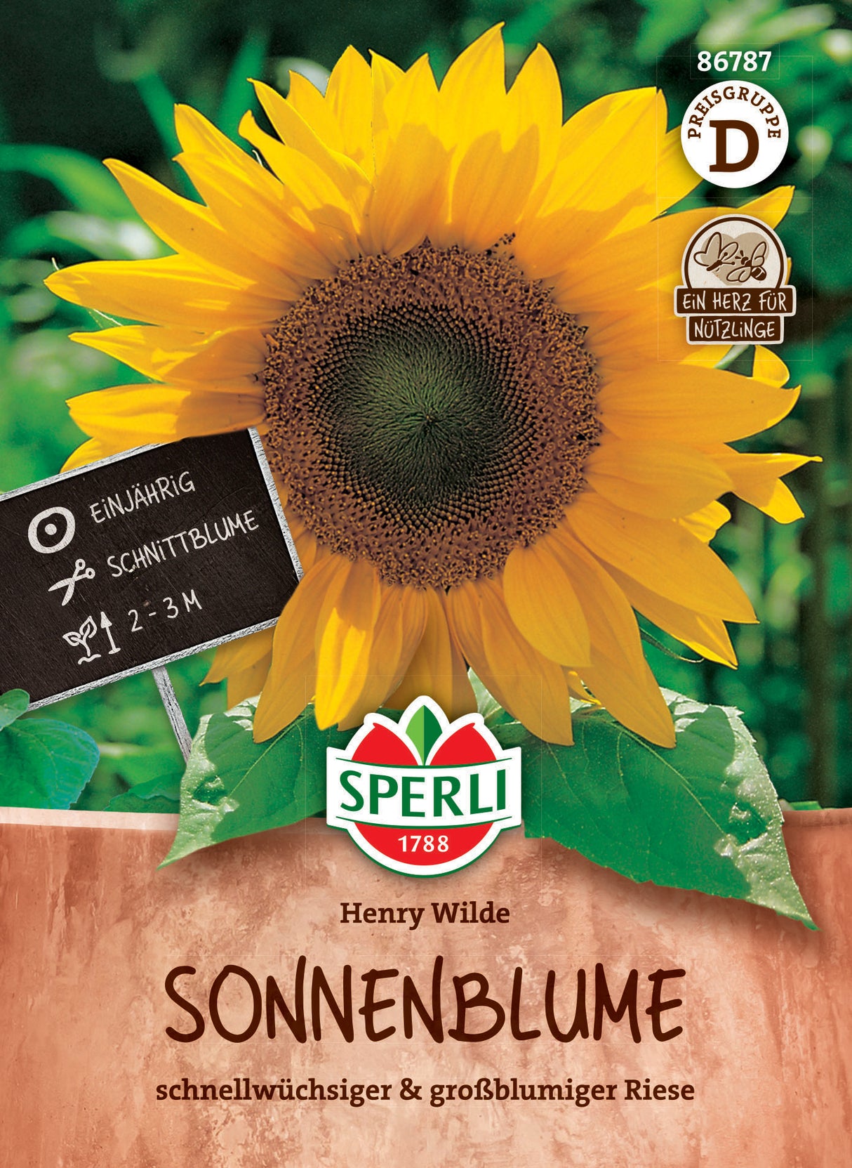 Seminte floarea soarelui Henry Wilde