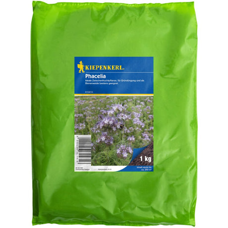 phacelia