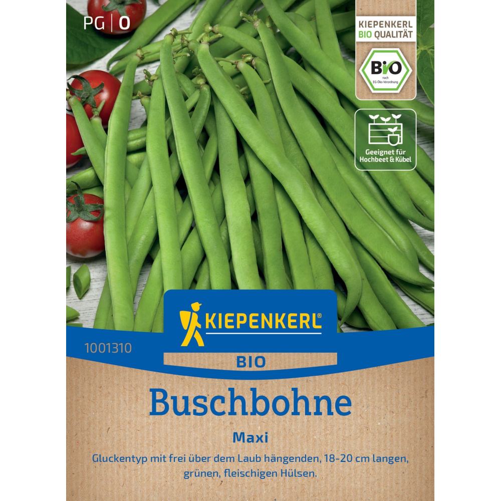 seminte fasole pitica maxi bio