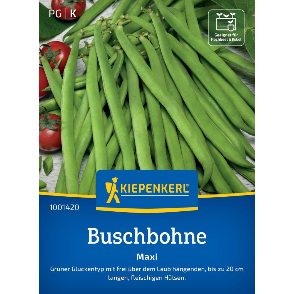 seminte fasole pitica maxi kiepenkerl