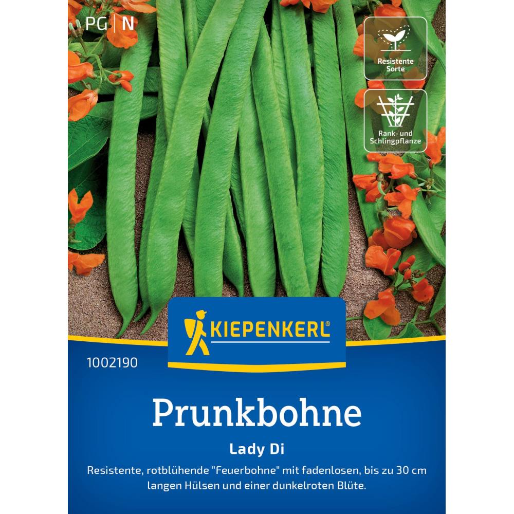 seminte fasole urcatoare lady di