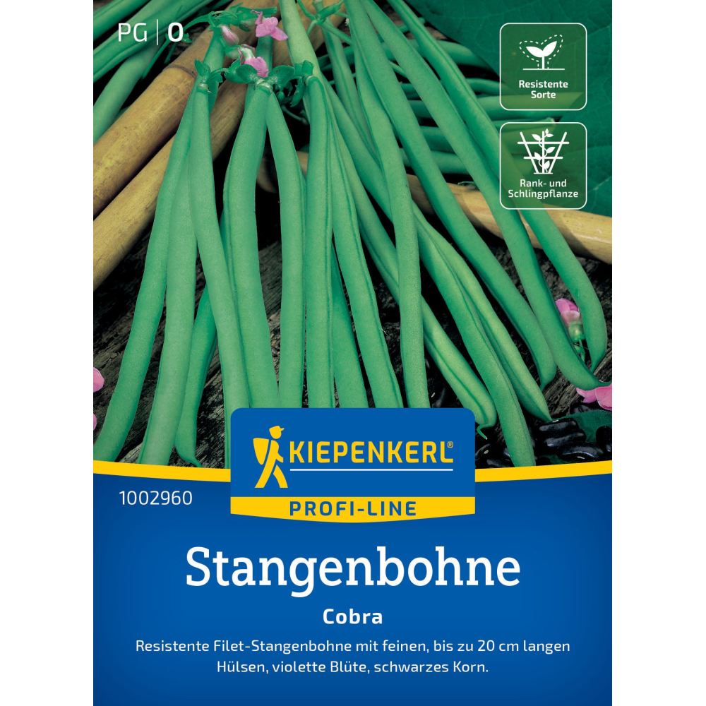 seminte fasole urcatoare cobra