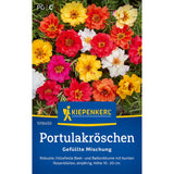 Seminte de portulaca cu flori duble – amestec colorat, ajunge pentru 120 Plante