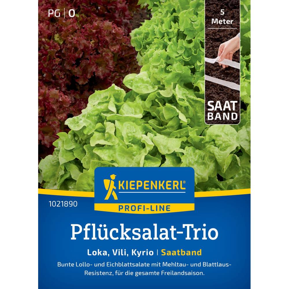 seminte salata mix loka
