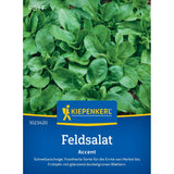 seminte salata de camp accent