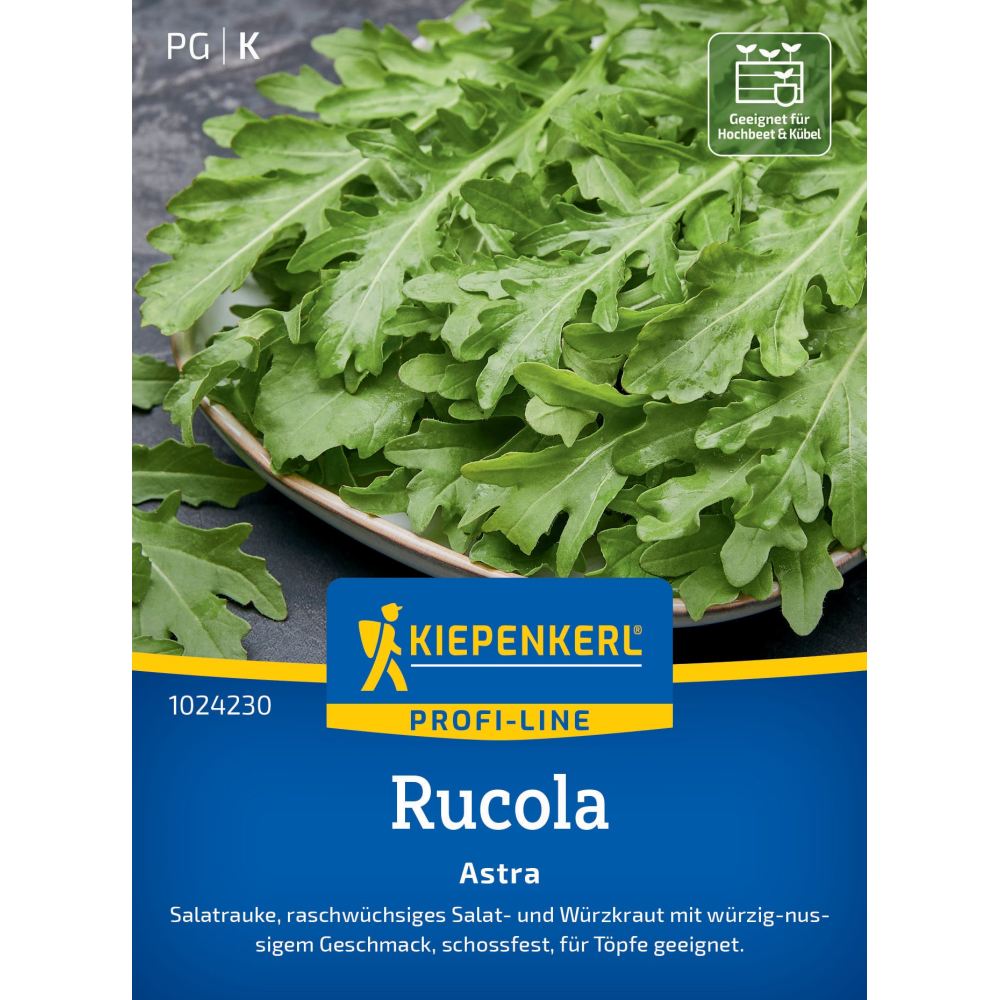 seminte rucola astra picant