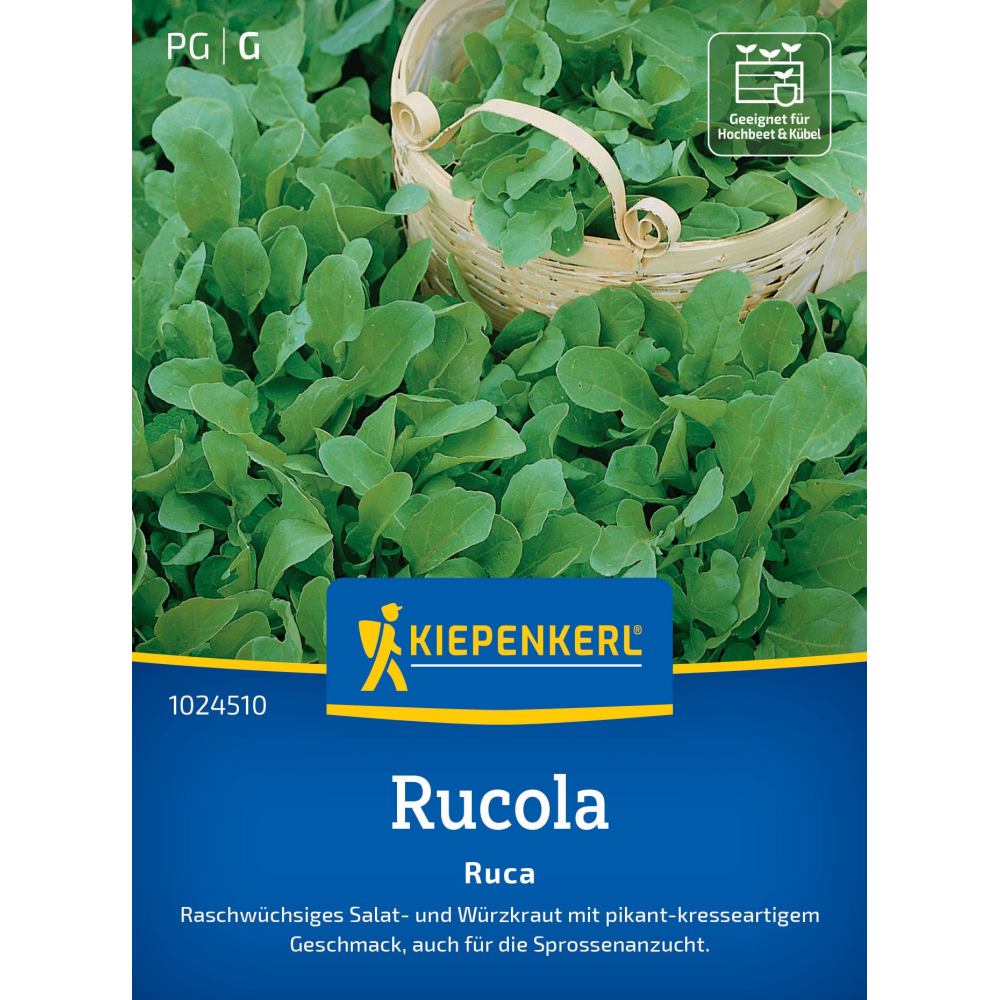 seminte rucola ruca