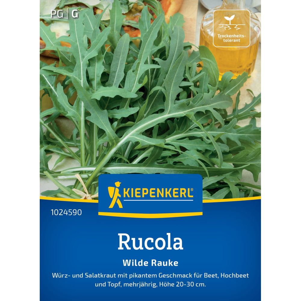 seminte rucola salbatica