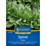 seminte spanac helios