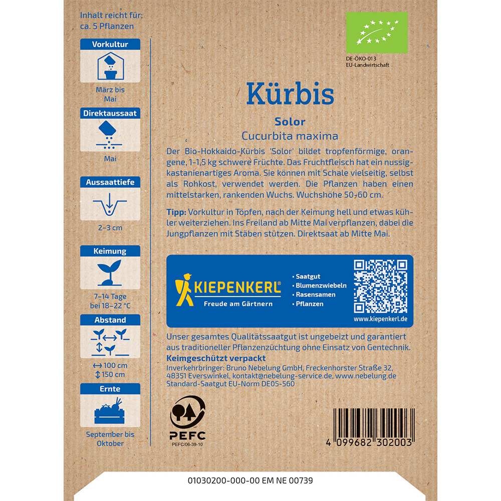 Seminte de dovleac Solor Bio– pulpa dulce si consistenta, ajunge pentru 5 Plante