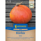 Seminte de dovleac Solor Bio– pulpa dulce si consistenta, ajunge pentru 5 Plante