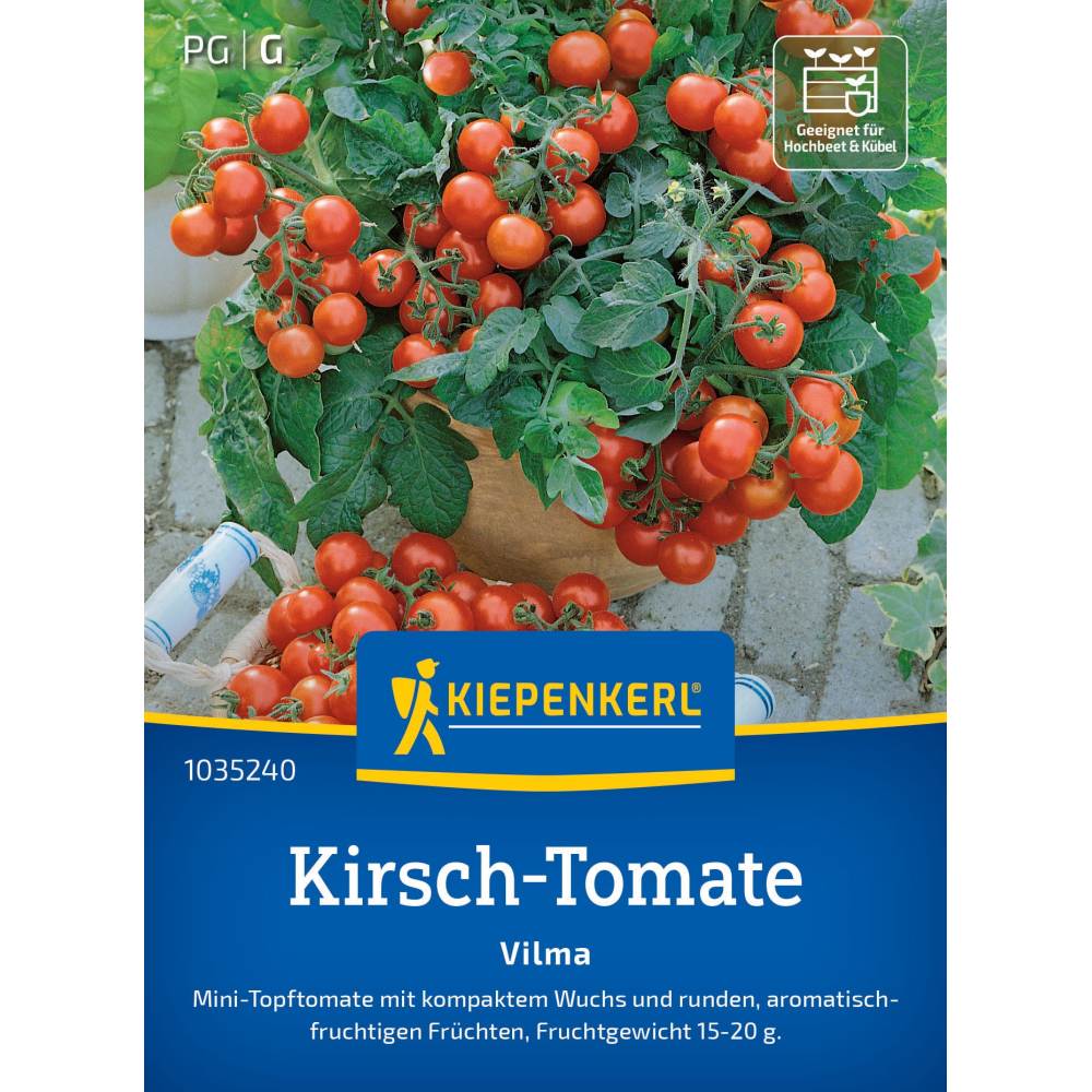 seminte rosii cherry vilma