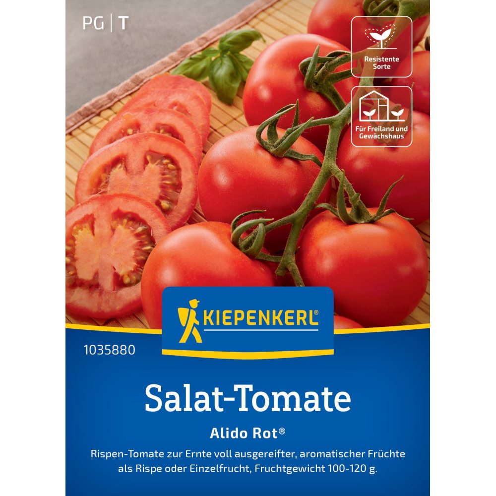 seminte rosii salata alido rosu