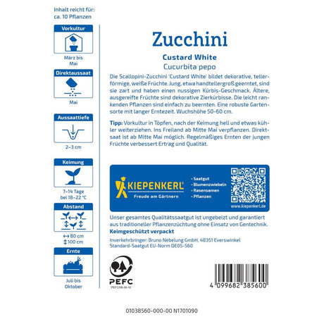 seminte dovlecel custard white