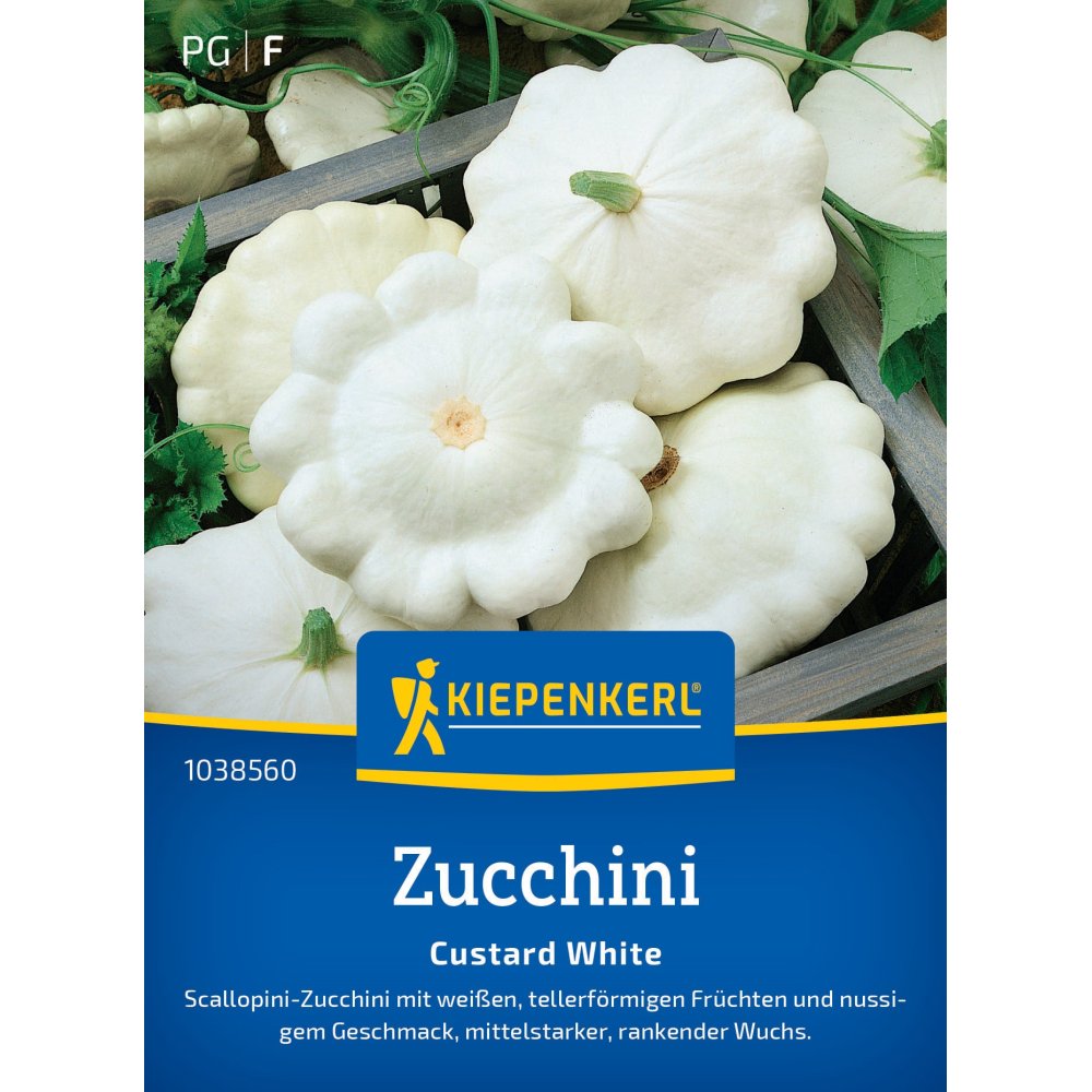 seminte dovlecel custard white