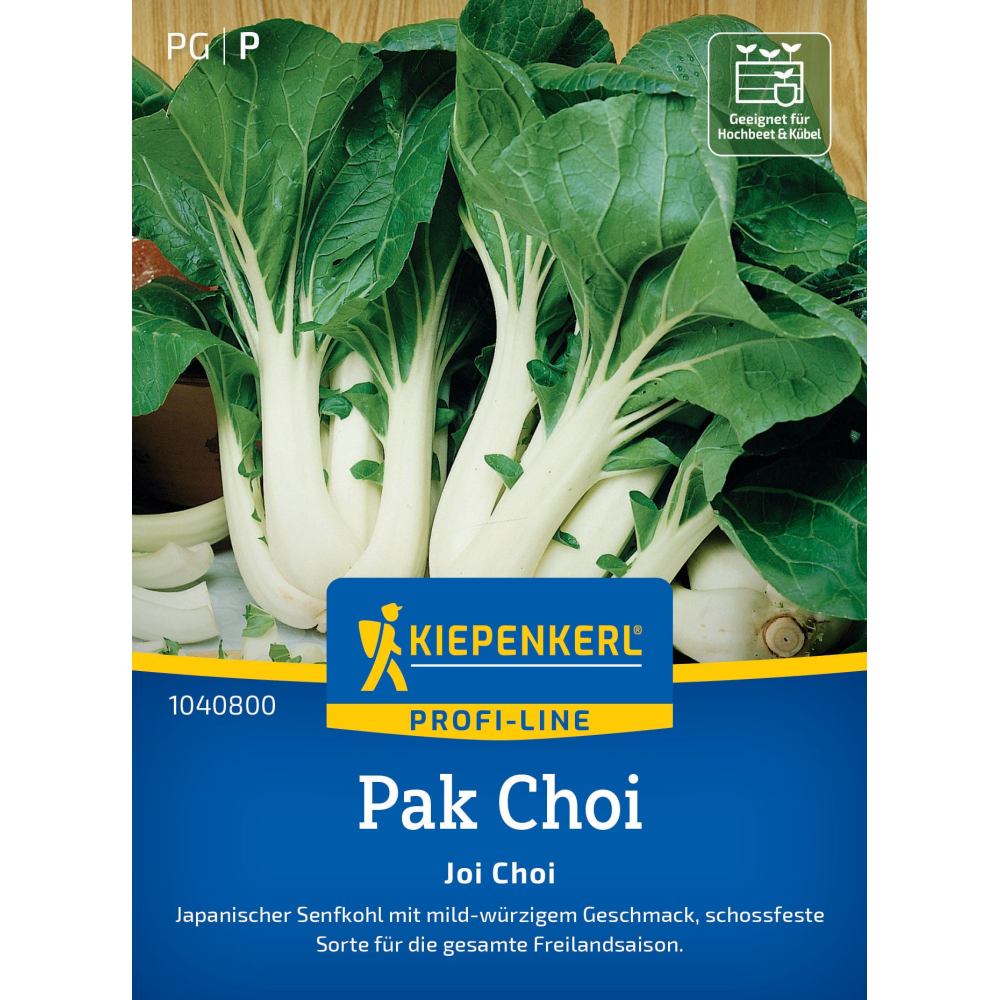 seminte pak choi joi choi